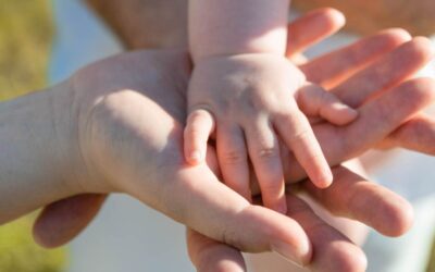Financial Advisers – your advocate in tough times
