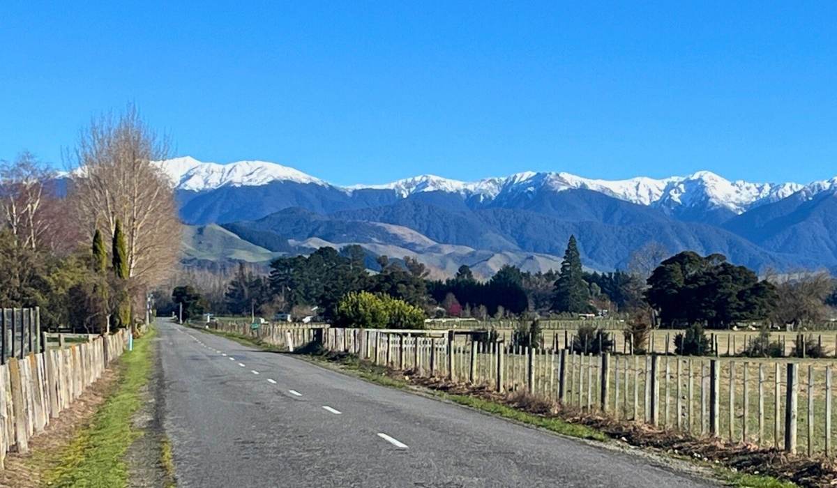 KiwiSaver investment meeting