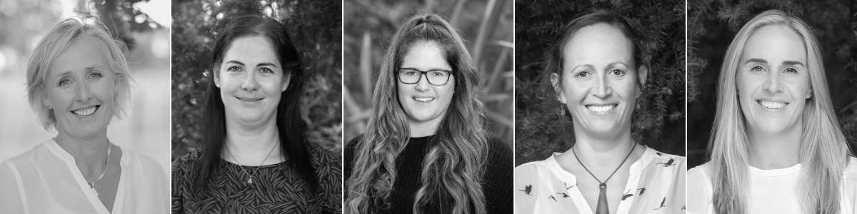 General insurance team