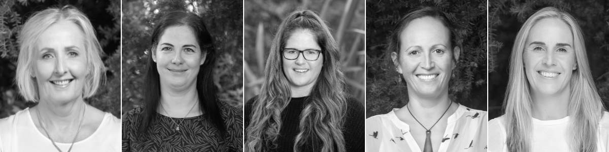 General insurance team